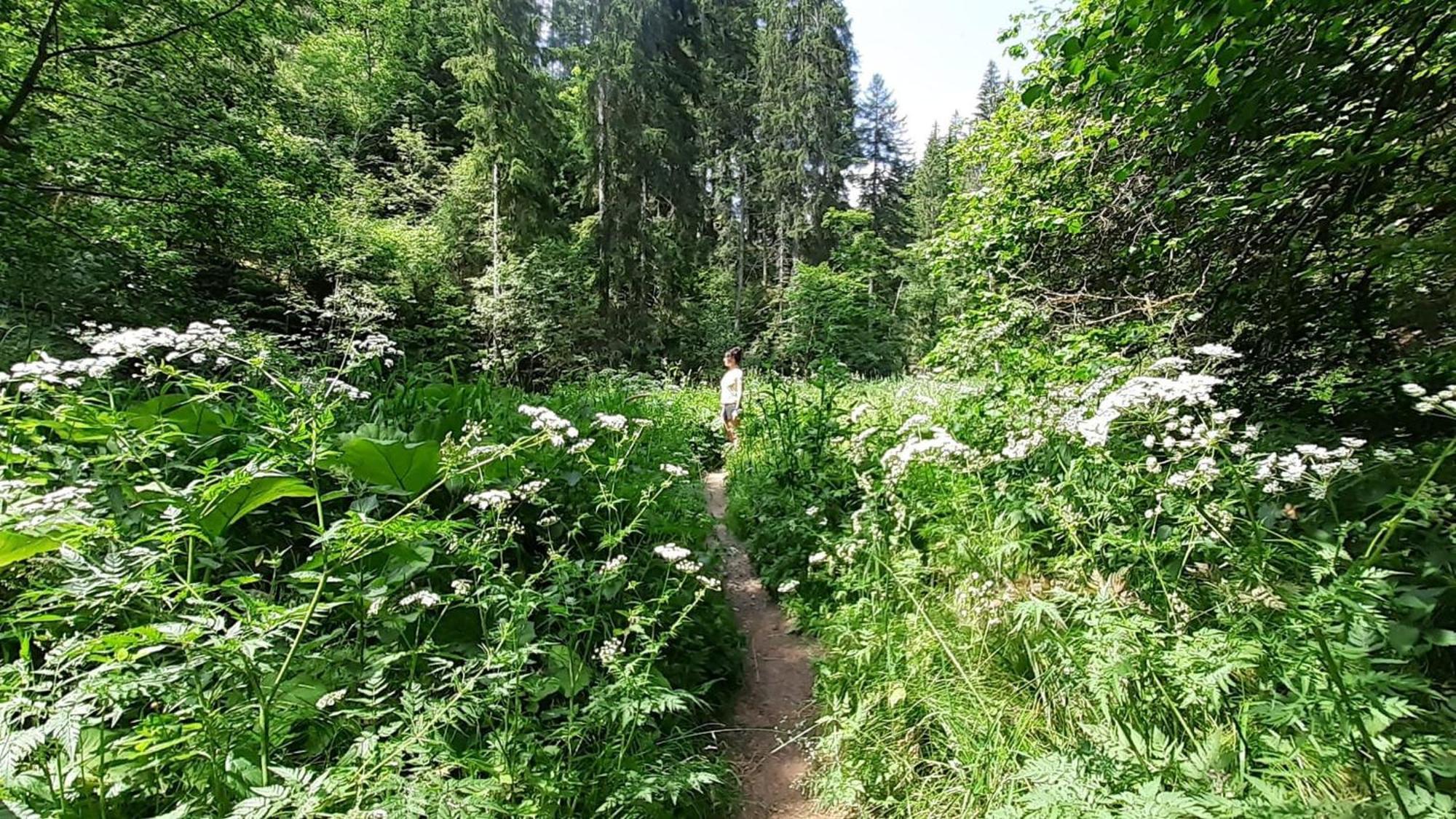 Landhaus Alpenpanorama Лёффинген Экстерьер фото